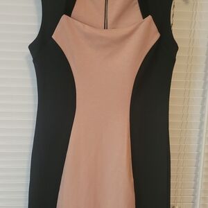 FOREVER 21 DUSTY ROSE AND BLACK DRESS FEATURING ZIPPER IN BACK SIZE SMALL